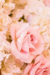 Lindsay & Billy - Light Pink Rose Detail - Essex House - By Charlie Juliet Photography (14)