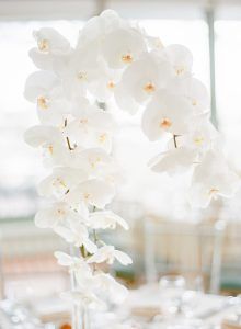 Jessica & Brian Weding - High Centerpiece Phaelenopsis Orchid - Battery Gardens NYC - by Rebecca Yale - 071